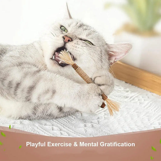 Natural Silvervine Dental Stick for Cats