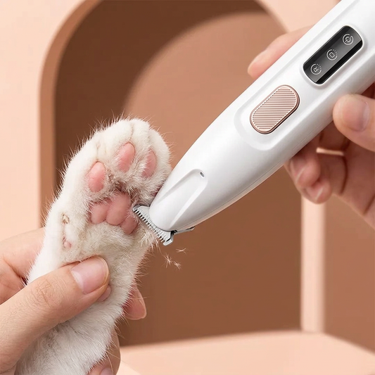 Person using a pet paw trimmer on a cat's paw with a neutral background