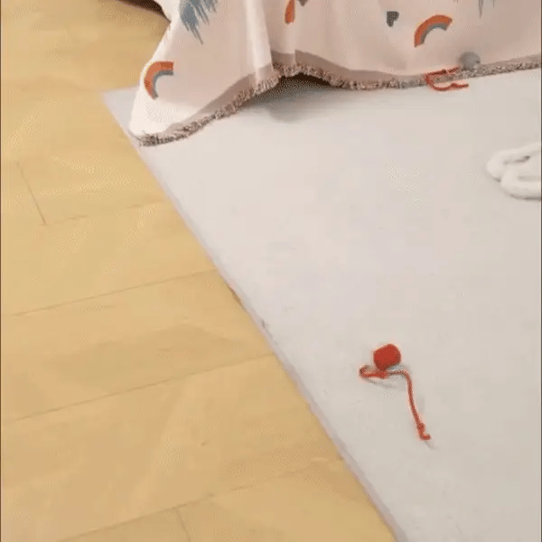 Intelligent interactive cat Toy ball