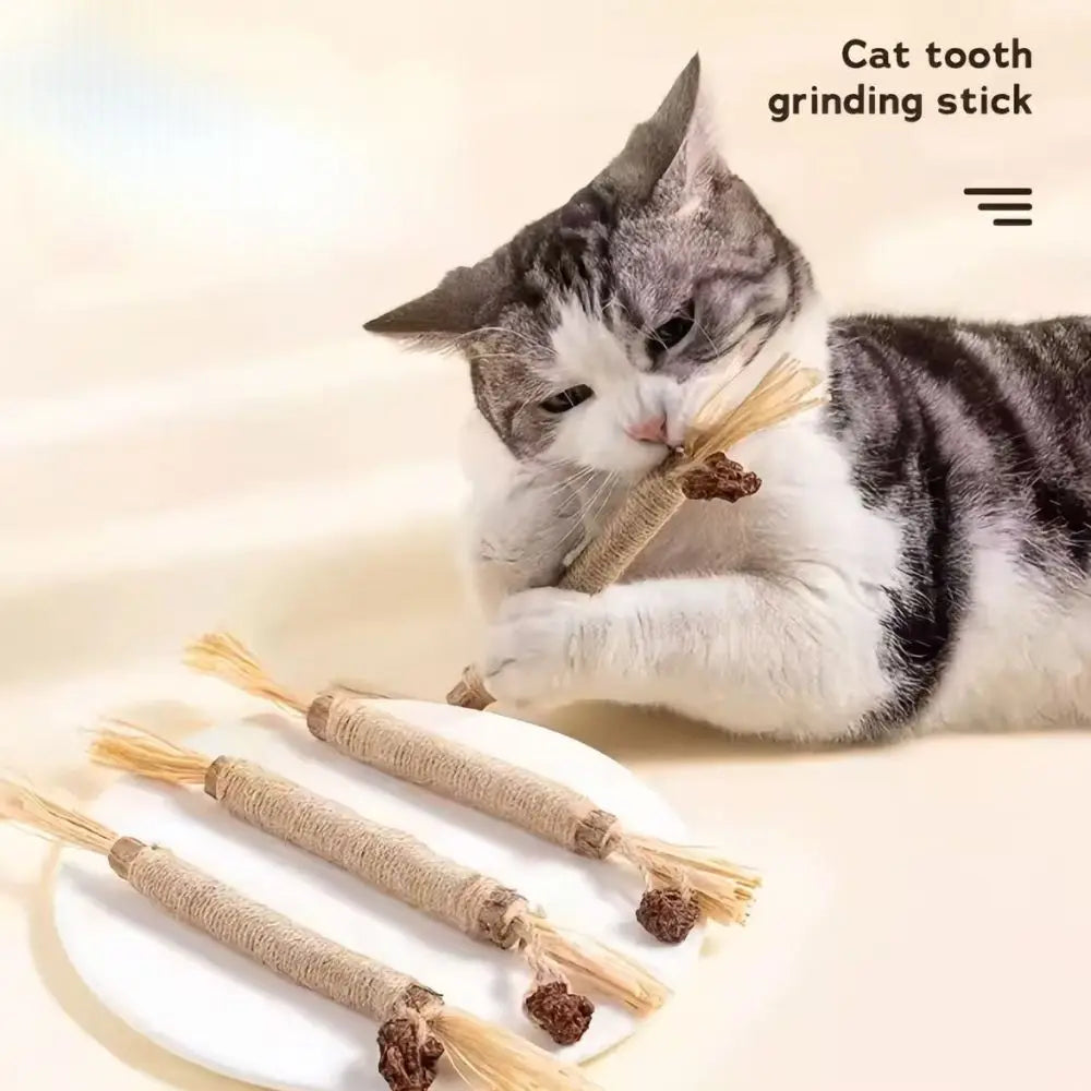 Natural Silvervine Dental Stick for Cats
