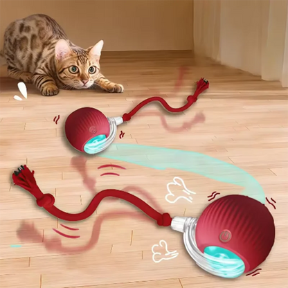 Intelligent interactive cat Toy ball
