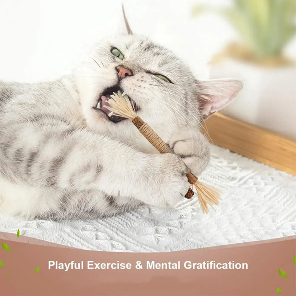 Natural Silvervine Dental Stick for Cats