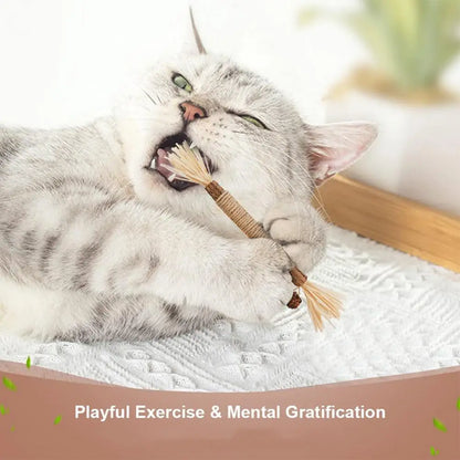 Natural Silvervine Dental Stick for Cats
