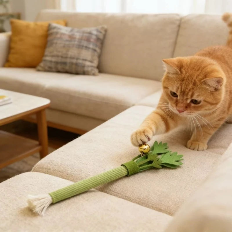 Catnip Cat Teeth Cleaning Toy