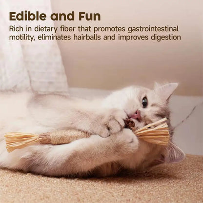 Natural Silvervine Dental Stick for Cats