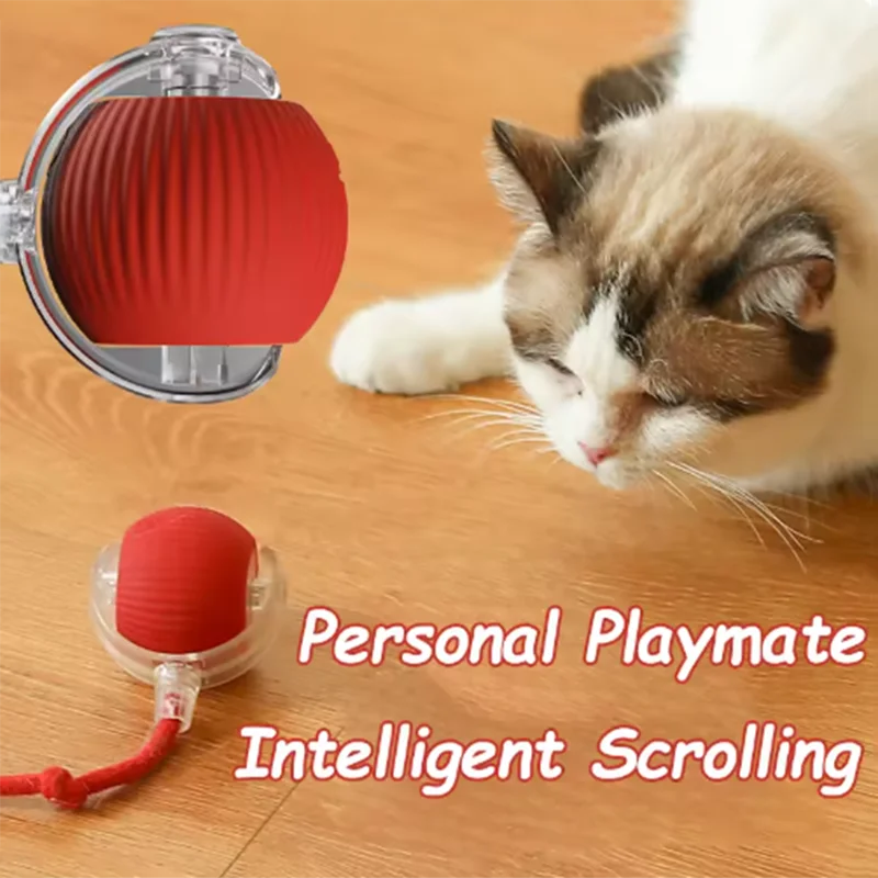 Cat interacting with a red and clear toy on a wooden floor, with text 'Personal Playmate Intelligent Scrolling'.