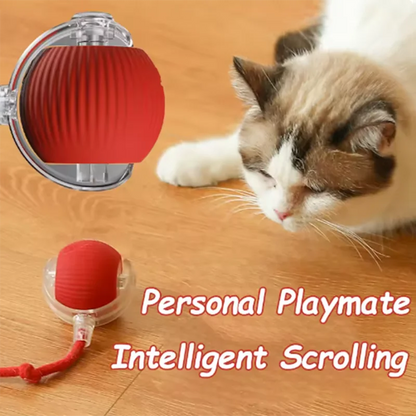 Cat interacting with a red and clear toy on a wooden floor, with text 'Personal Playmate Intelligent Scrolling'.