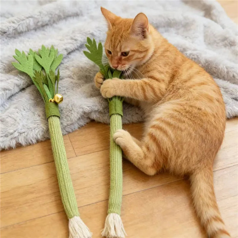 Catnip Cat Teeth Cleaning Toy