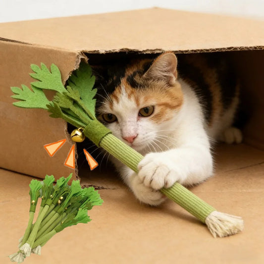 Catnip Cat Teeth Cleaning Toy