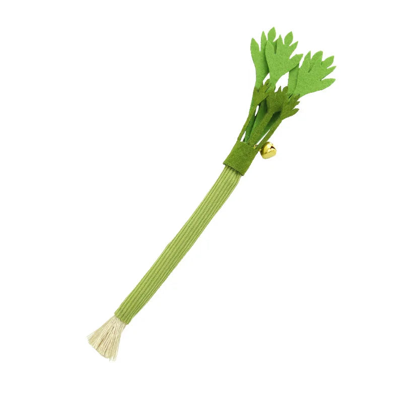 Catnip Cat Teeth Cleaning Toy