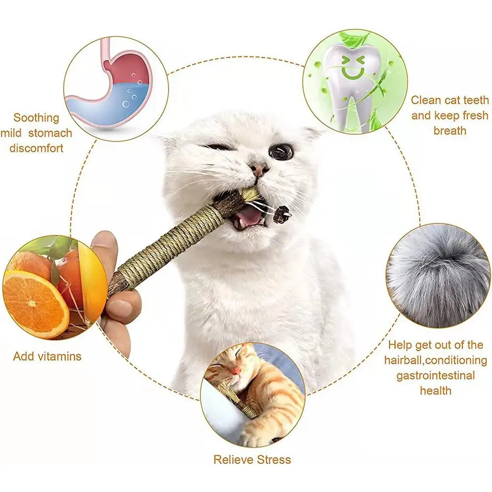 Natural Silvervine Dental Stick for Cats