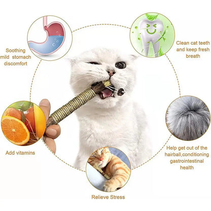 Natural Silvervine Dental Stick for Cats