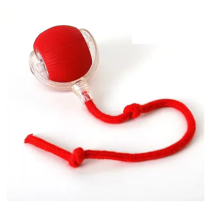 Intelligent interactive cat Toy ball